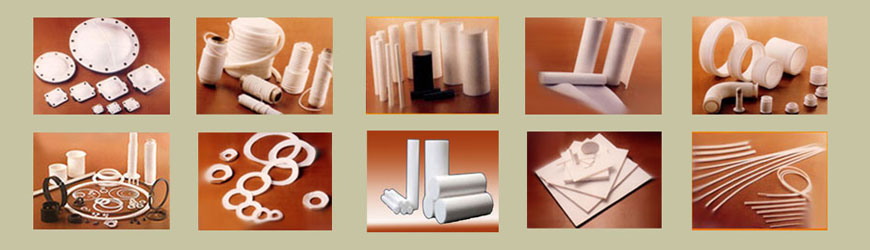 PTFE Component Ptfe
